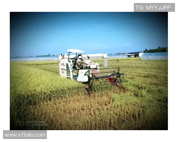 弗格的传奇人生与时代变迁的交织探讨