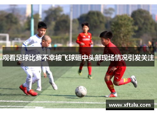 观看足球比赛不幸被飞球砸中头部现场情况引发关注