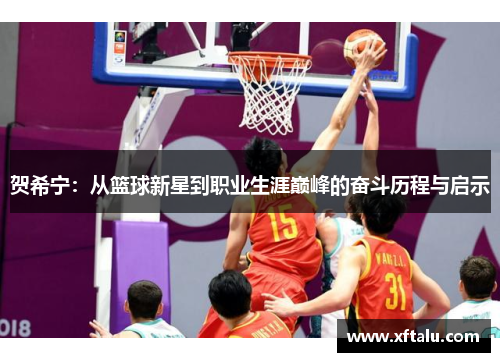 贺希宁：从篮球新星到职业生涯巅峰的奋斗历程与启示